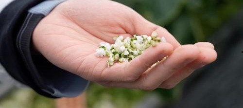 亚洲 国产 熟,国产熟品鉴之旅