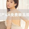 va国产,探索神秘东方的瑰宝与传奇