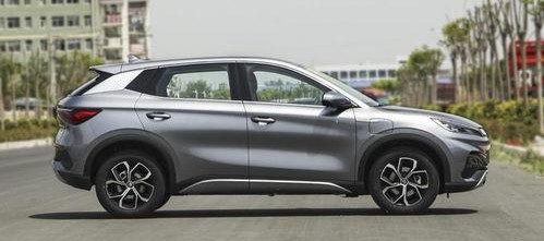 国产五月,绽放的青春与梦想